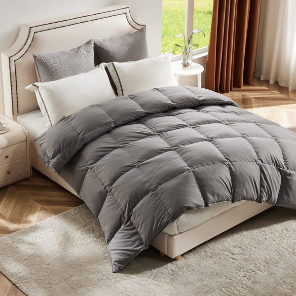 Ebern Designs Javonti Single Duck Down Winter Comforter Duvet Insert